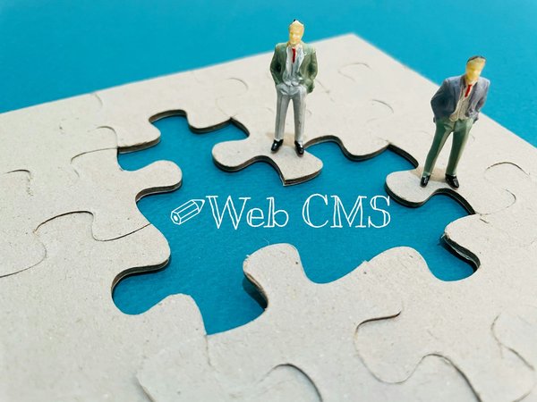 Comment les systèmes de gestion de contenu (CMS) peuvent-ils faciliter la création de sites éducatifs ?